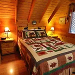 Cute Updated Mountain Cabin Fireplace #3