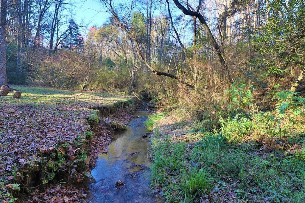 Cute Creek & Firepit #12 * Helen