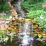 Black Forest Vacation Rentals