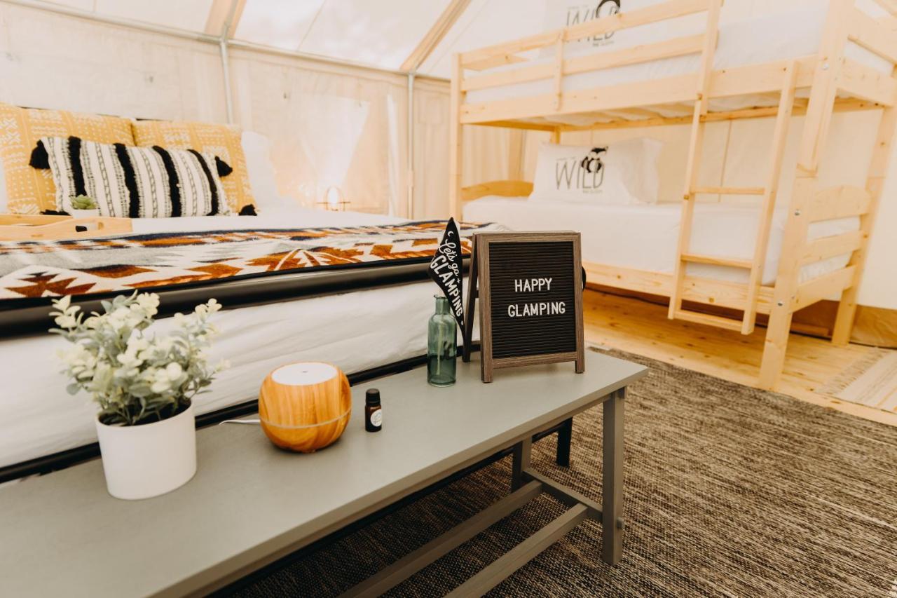 Luxury tent Timberline Glamping At Unicoi State Park