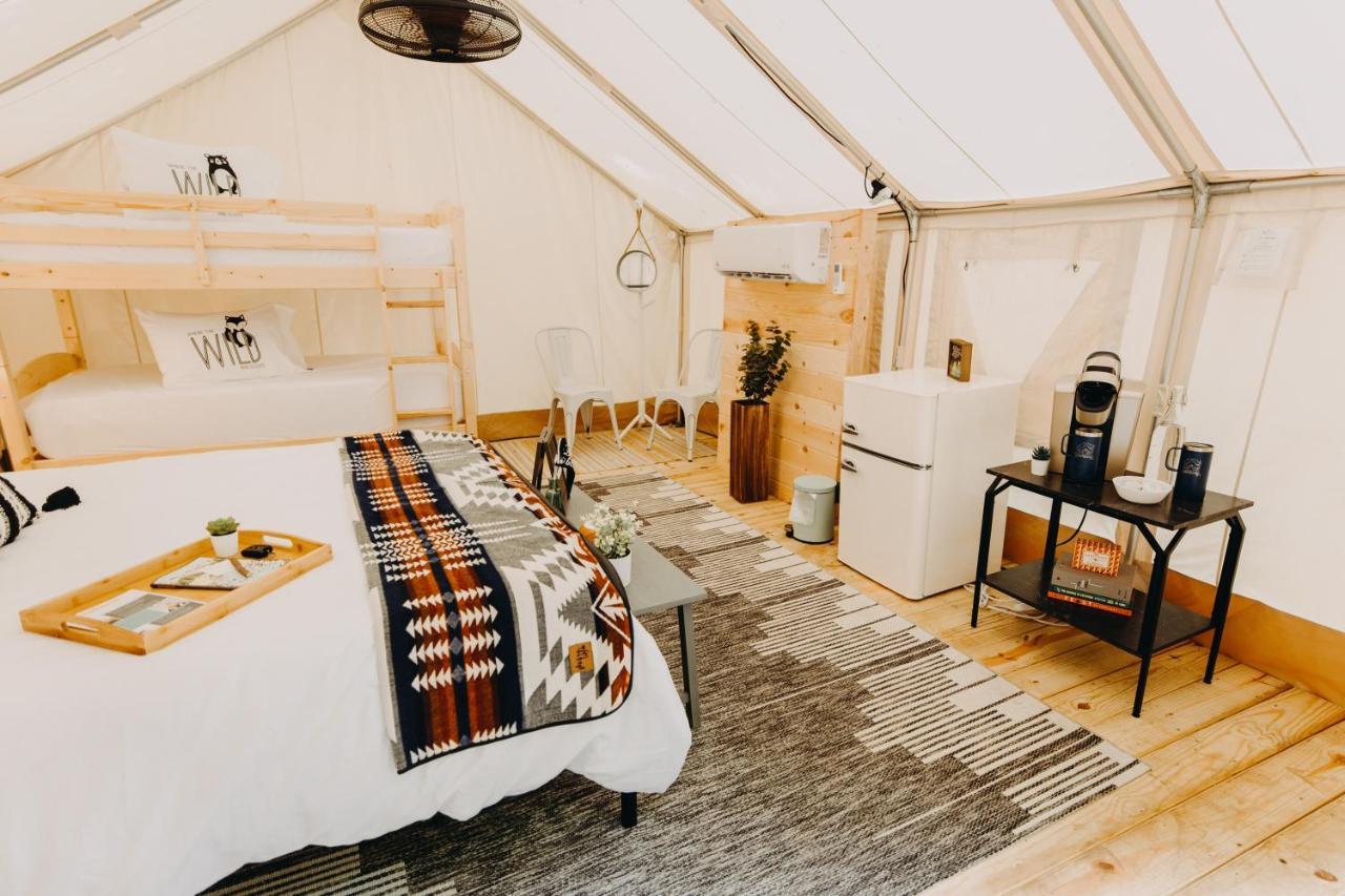 Luxury tent Timberline Glamping At Unicoi State Park *
